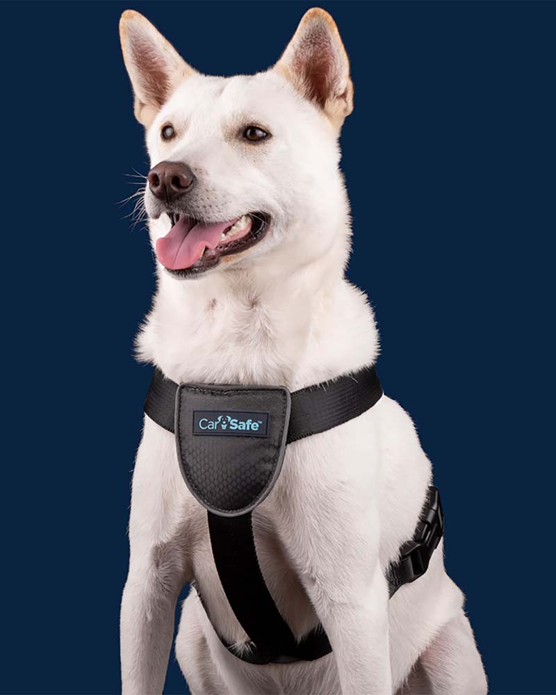 Dog Harnesses